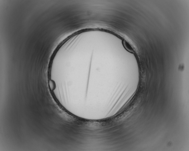 X0000101200943200807251022