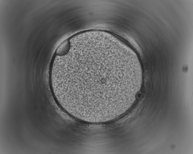 X0000101200944200807251022