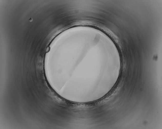 X0000101200945200807251022