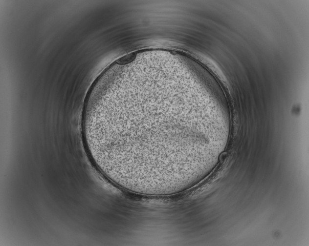 X0000101200946200807251022