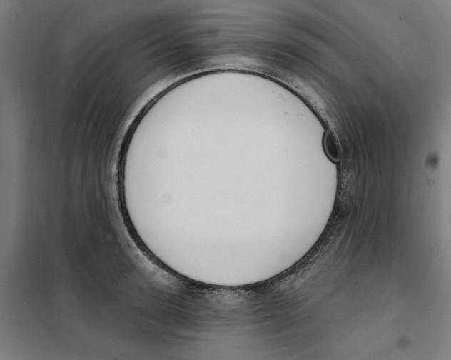 X0000101200947200807251022