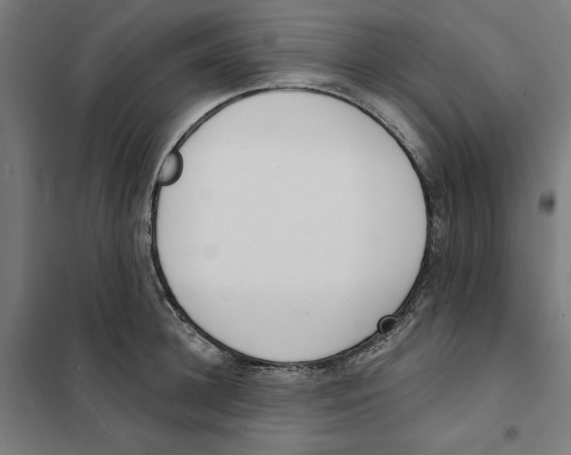 X0000101200948200807251022