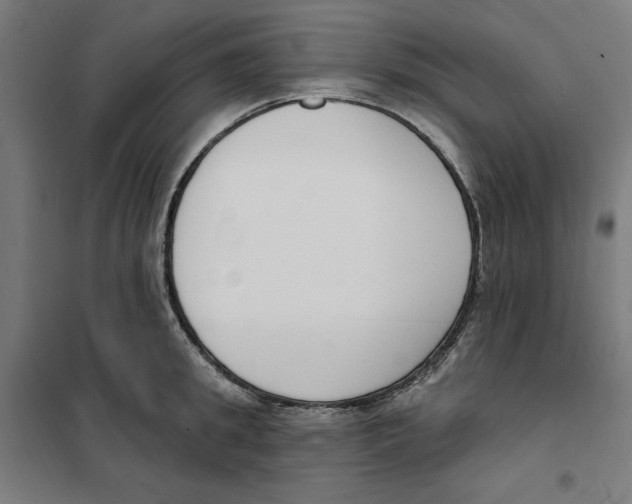 X0000101200949200807251022