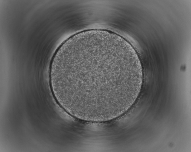 X0000101200950200807251022