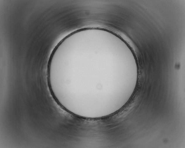 X0000101200951200807251022