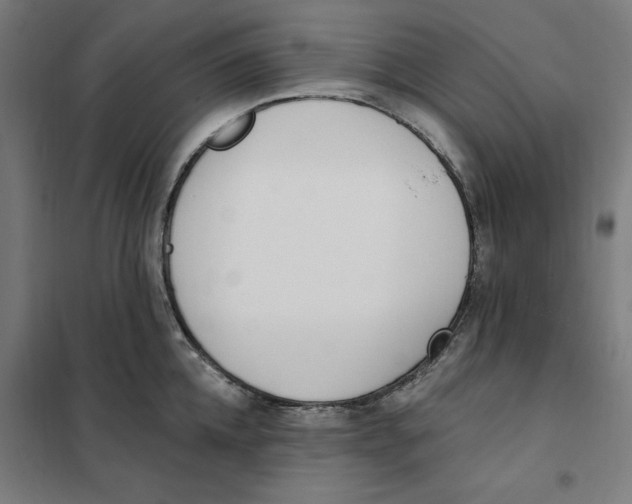 X0000101200952200807251022