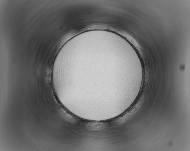 X0000101200953200807251022