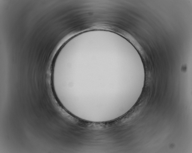 X0000101200955200807251022