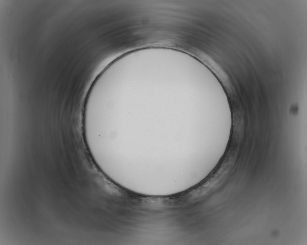 X0000101200956200807251022