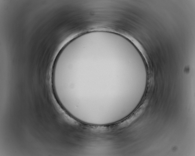 X0000101200957200807251022