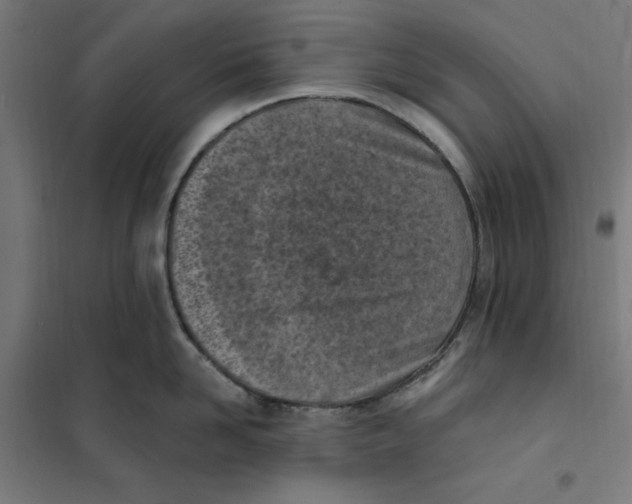 X0000101200958200807251022