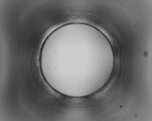 X0000101200959200807251022