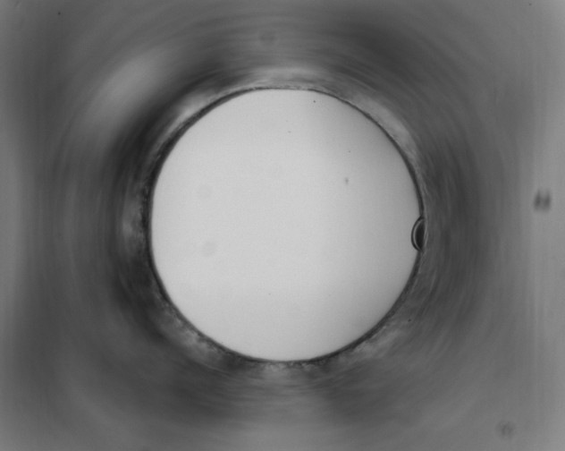 X0000101200960200807251022