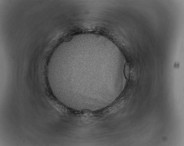 X0000101200961200807251022