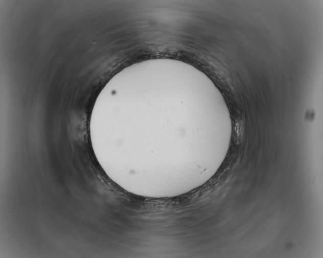 X0000101200963200807251022