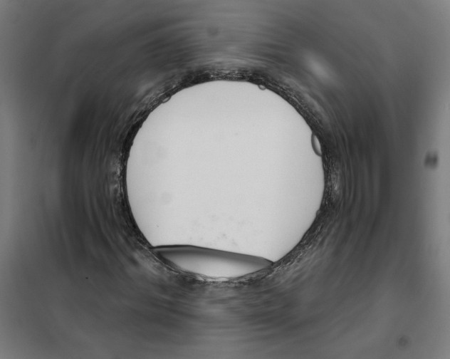 X0000101200964200807251022