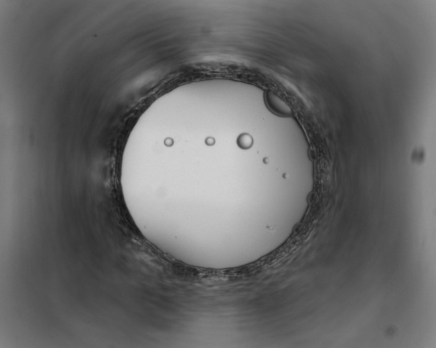 X0000101200965200807251022