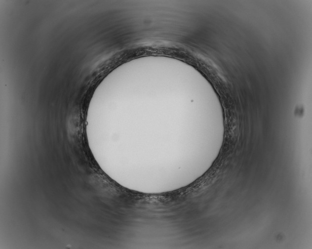 X0000101200966200807251022