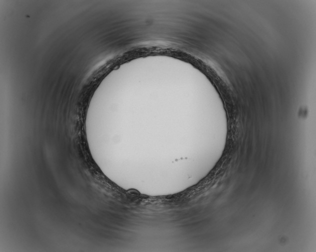 X0000101200967200807251022