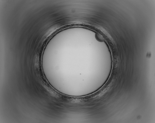 X0000101200969200807251022