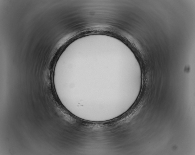 X0000101200970200807251022