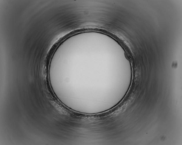 X0000101200973200807251022