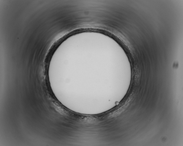 X0000101200974200807251022