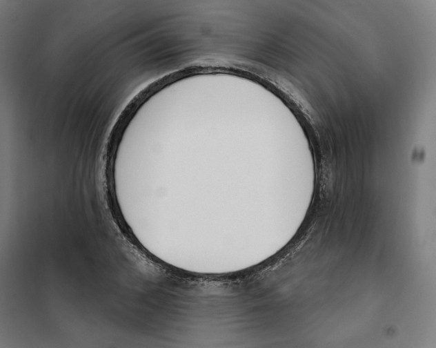 X0000101200976200807251022