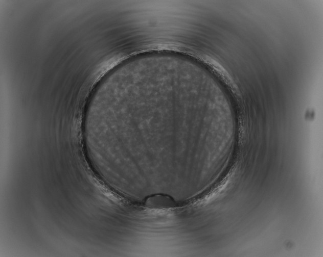 X0000101200977200807251022