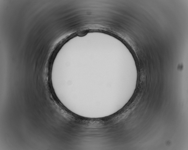 X0000101200979200807251022