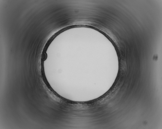 X0000101200980200807251022