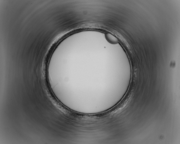 X0000101200981200807251022