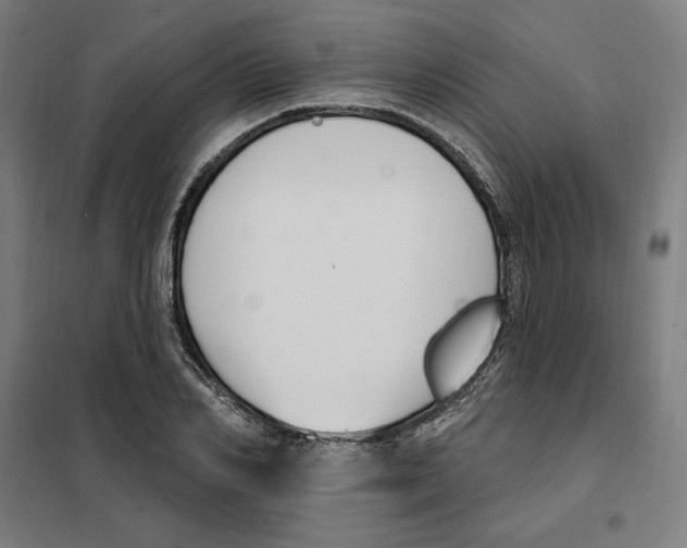 X0000101200982200807251022