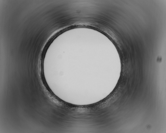 X0000101200984200807251022