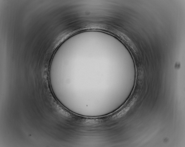 X0000101200985200807251021