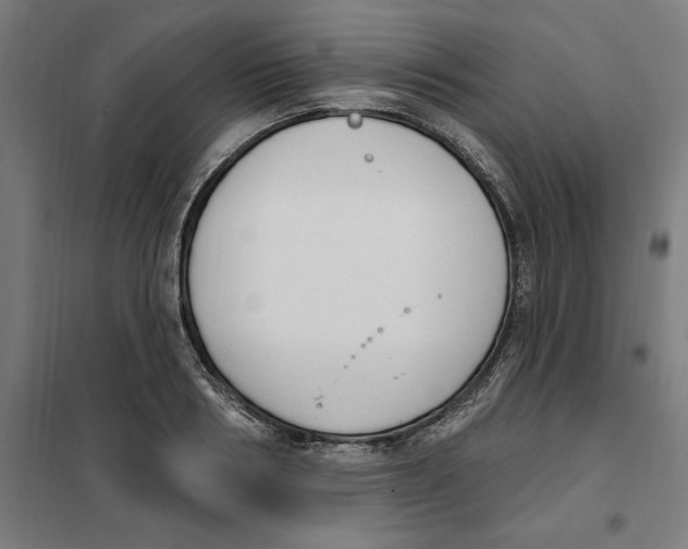 X0000101200986200807251021