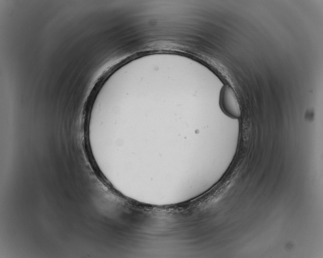 X0000101200987200807251021