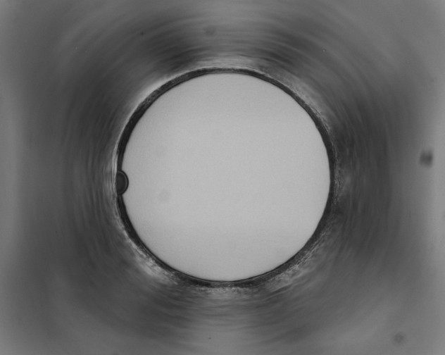 X0000101200988200807251021