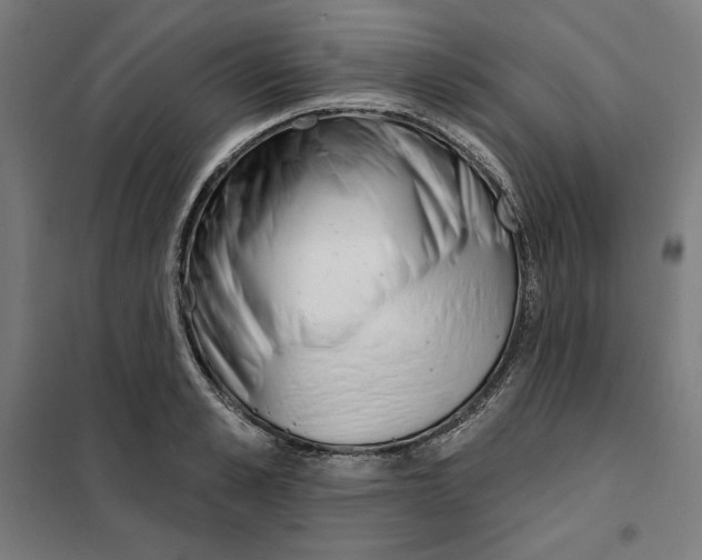 X0000101200989200807251021