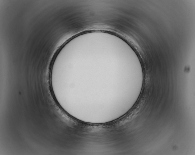 X0000101200990200807251021