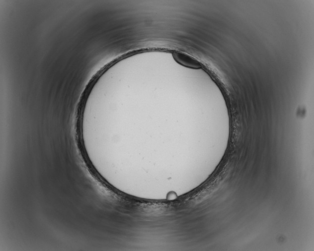 X0000101200991200807251021