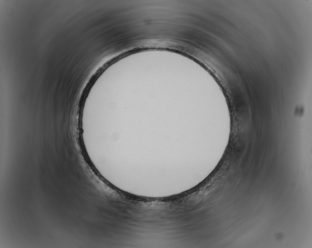 X0000101200992200807251021