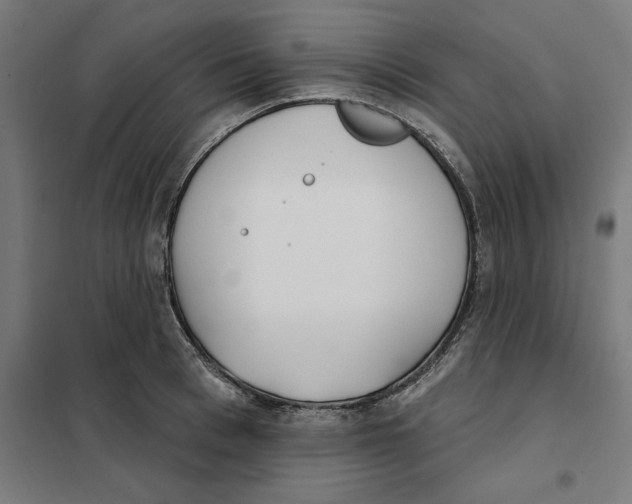 X0000101200993200807251021