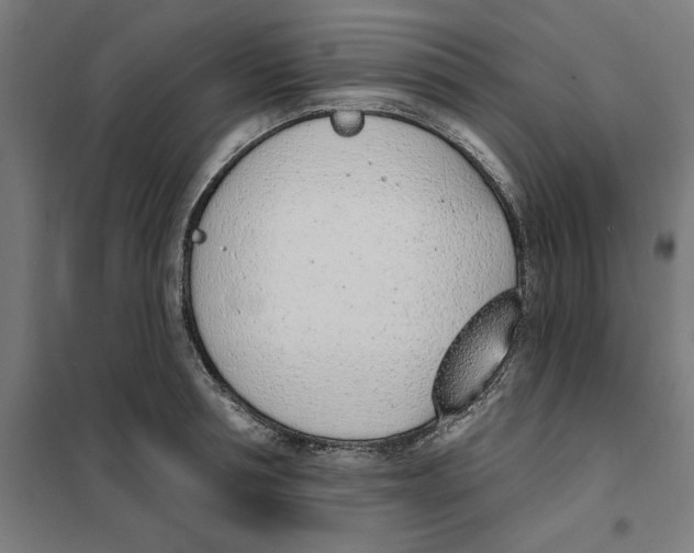 X0000101200994200807251021