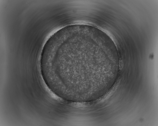 X0000101200995200807251021