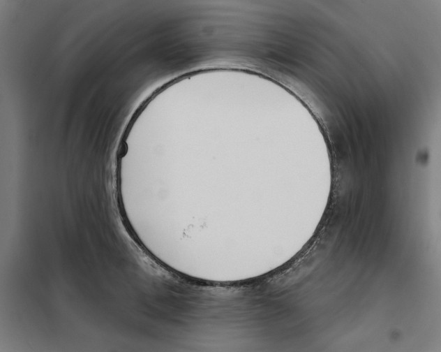 X0000101200996200807251021