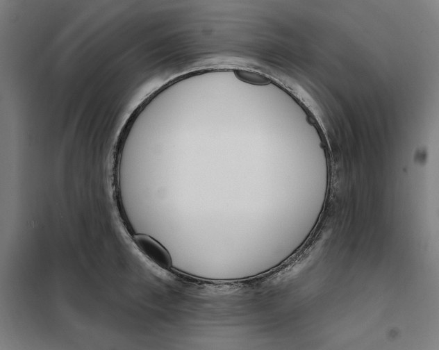 X0000101200997200807251021