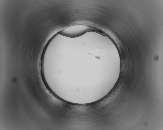 X0000101200999200807251021