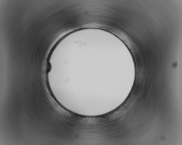 X0000101201000200807251021