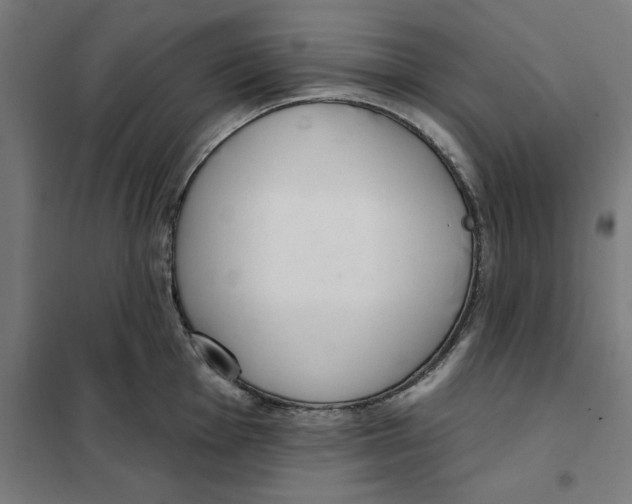 X0000101201001200807251021